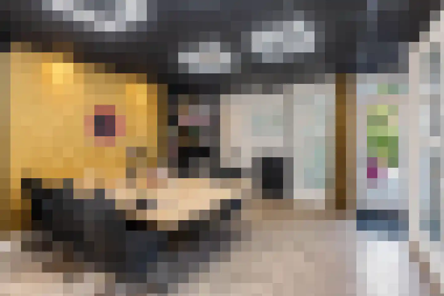 Van Karnebeekstraat 26 Zwolle thumbnail 8