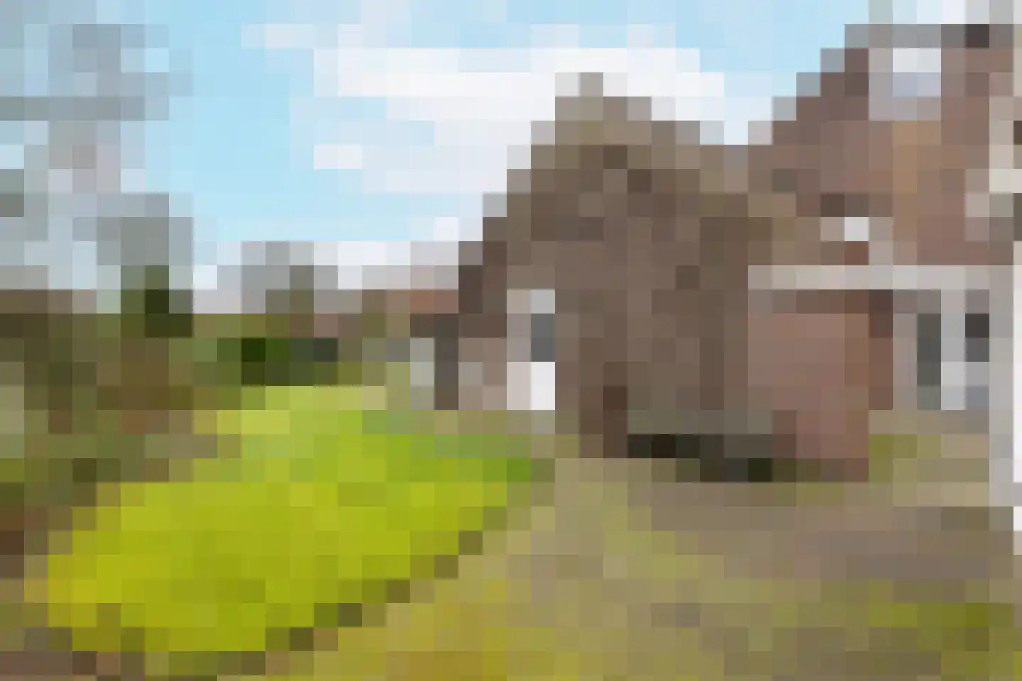 Van Karnebeekstraat 27 Vlissingen thumbnail 21