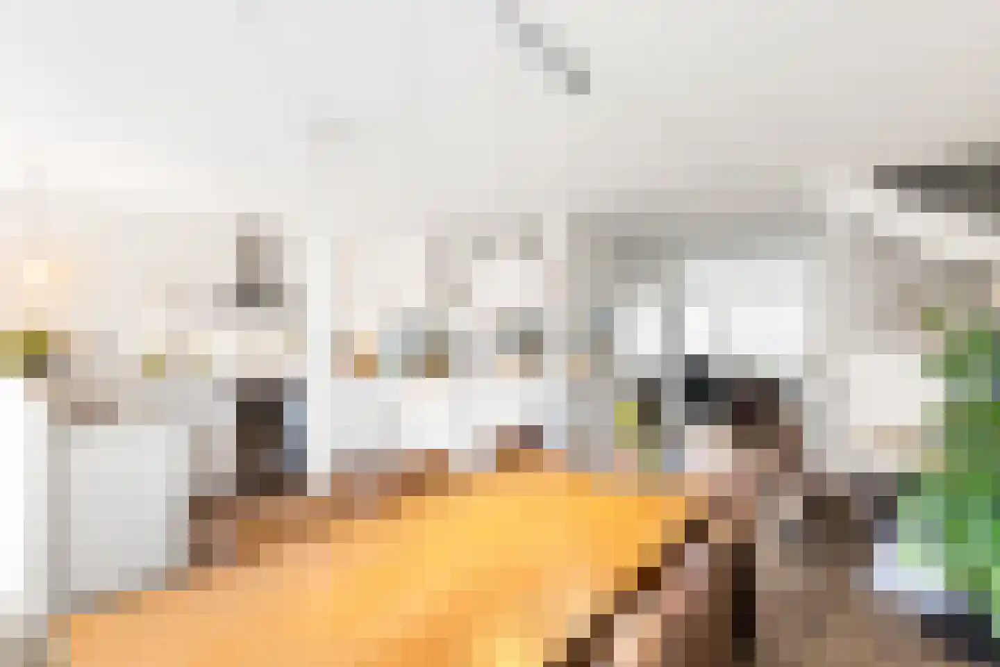 Van Karnebeekstraat 27 Vlissingen thumbnail 8