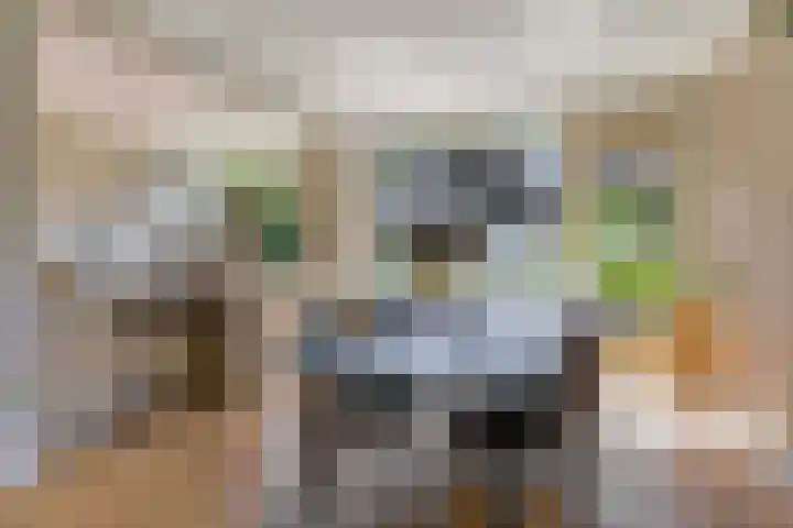 Van Karnebeekstraat 28 Nunspeet thumbnail 10