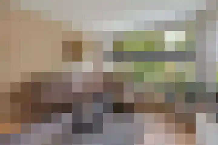 Van Karnebeekstraat 28 Nunspeet thumbnail 6