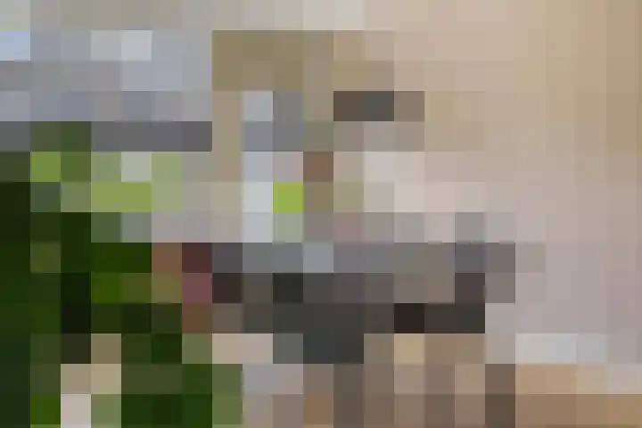 Van Karnebeekstraat 28 Nunspeet thumbnail 9