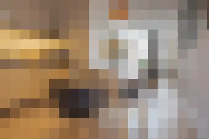 Van Karnebeekstraat 36 Zwolle thumbnail 17