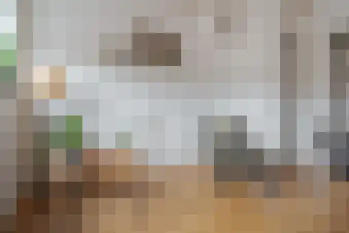 Van Karnebeekstraat 36 Zwolle thumbnail 33