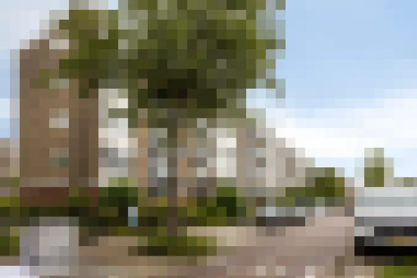 Van Karnebeekstraat 43 Dordrecht thumbnail 5