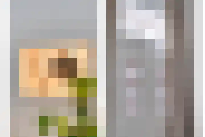 Van Karnebeekstraat 44 Zwolle thumbnail 21