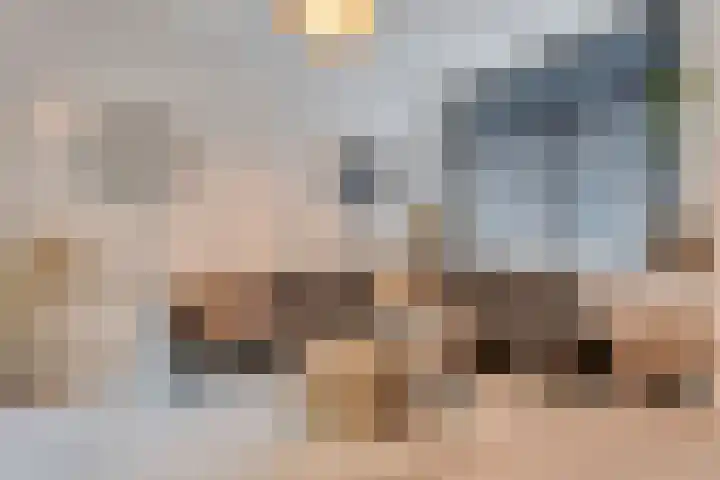 Van Karnebeekstraat 44 Zwolle thumbnail 7