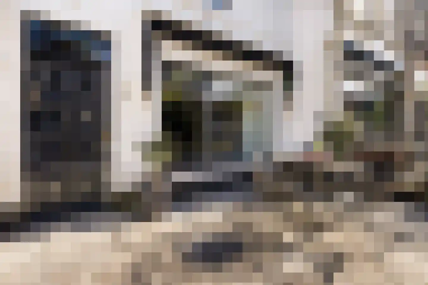 Van Karnebeekstraat 5 Zwolle thumbnail 13