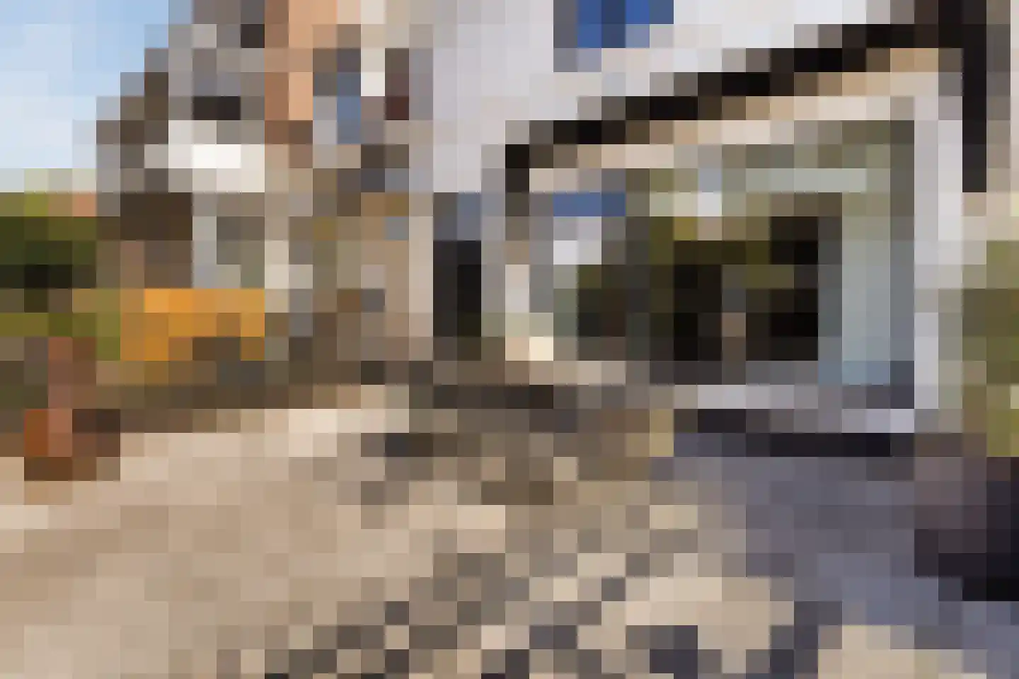 Van Karnebeekstraat 5 Zwolle thumbnail 14