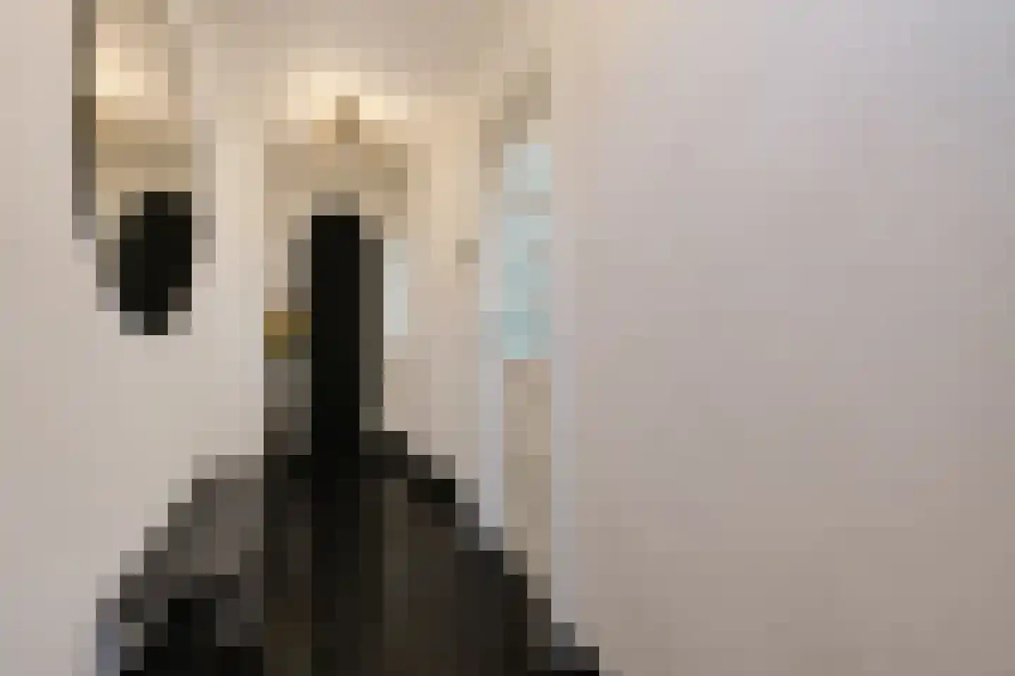 Van Karnebeekstraat 5 Zwolle thumbnail 18