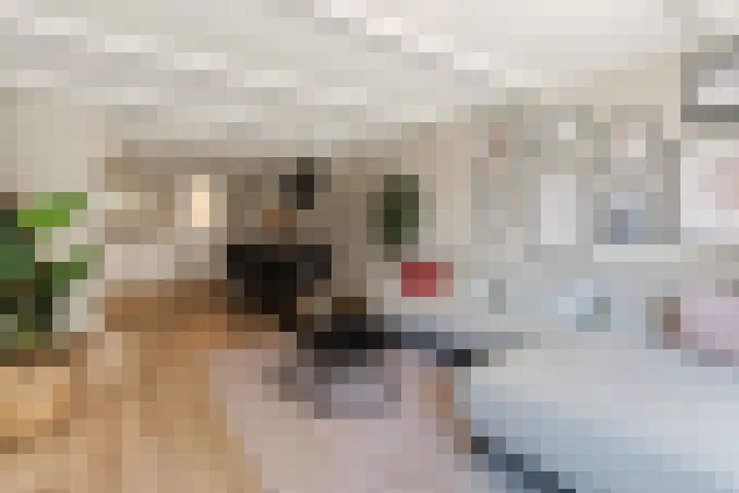 Van Karnebeekstraat 5 Zwolle thumbnail 21