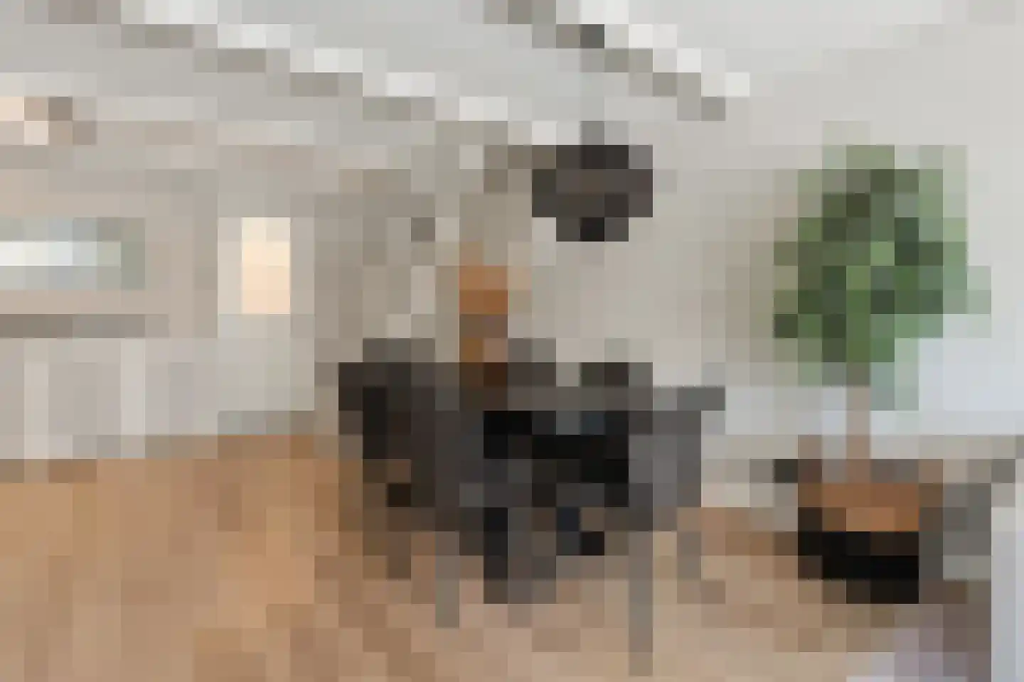 Van Karnebeekstraat 5 Zwolle thumbnail 23