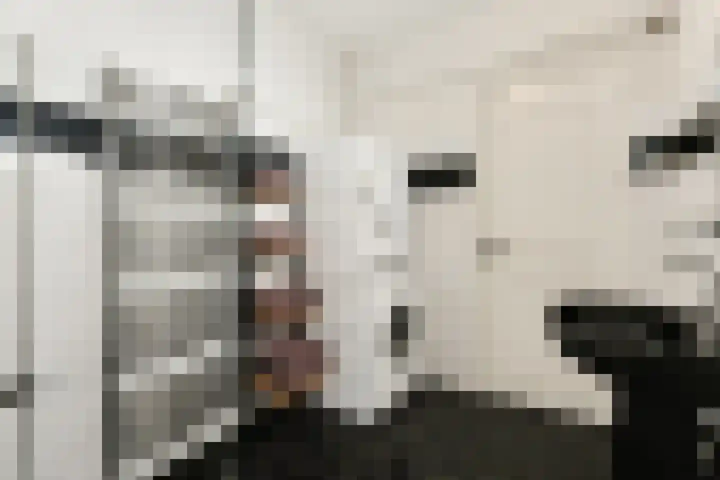 Van Karnebeekstraat 5 Zwolle thumbnail 32