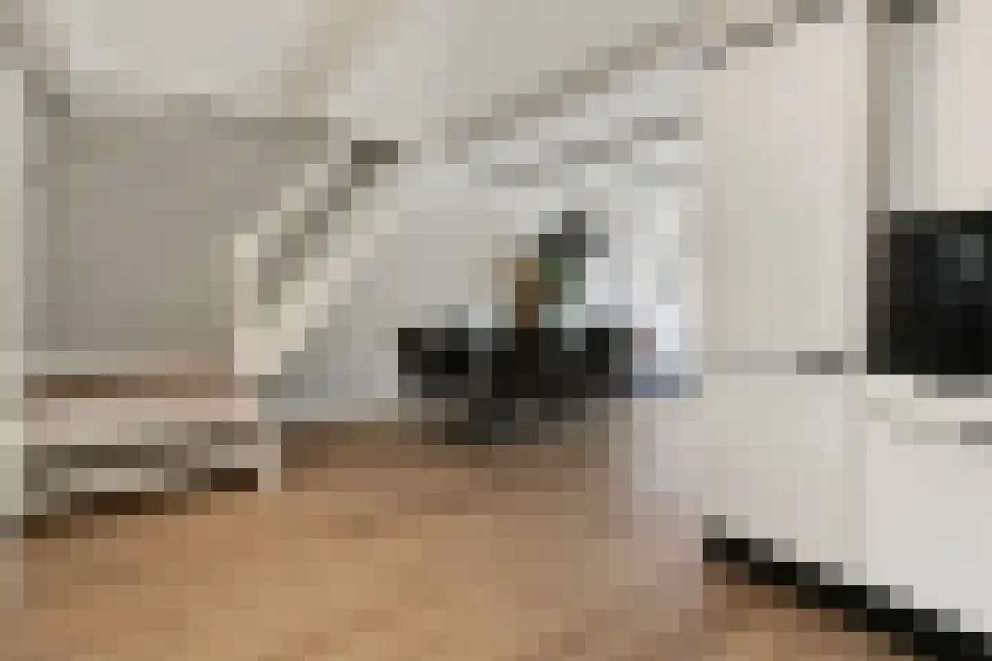 Van Karnebeekstraat 5 Zwolle thumbnail 35
