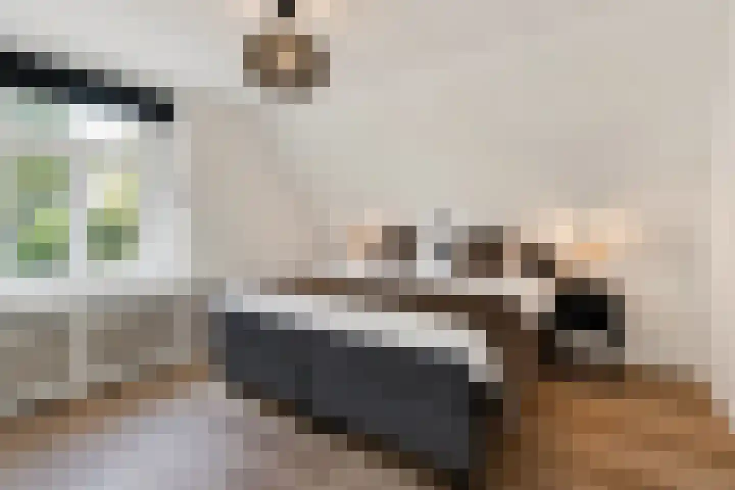 Van Karnebeekstraat 5 Zwolle thumbnail 38