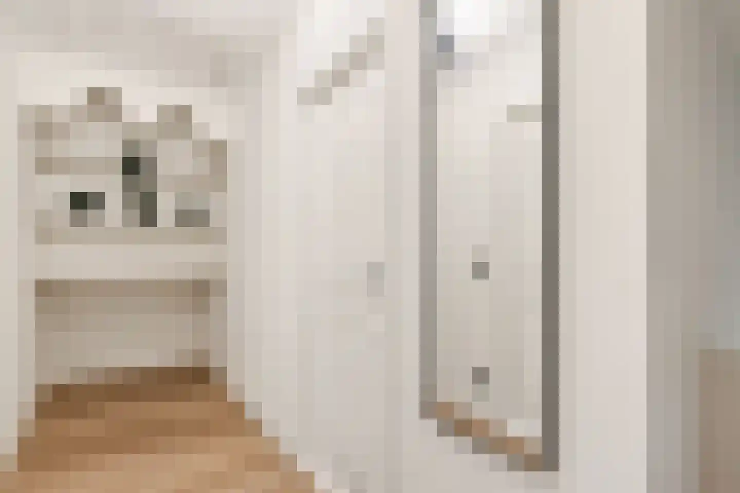 Van Karnebeekstraat 5 Zwolle thumbnail 40