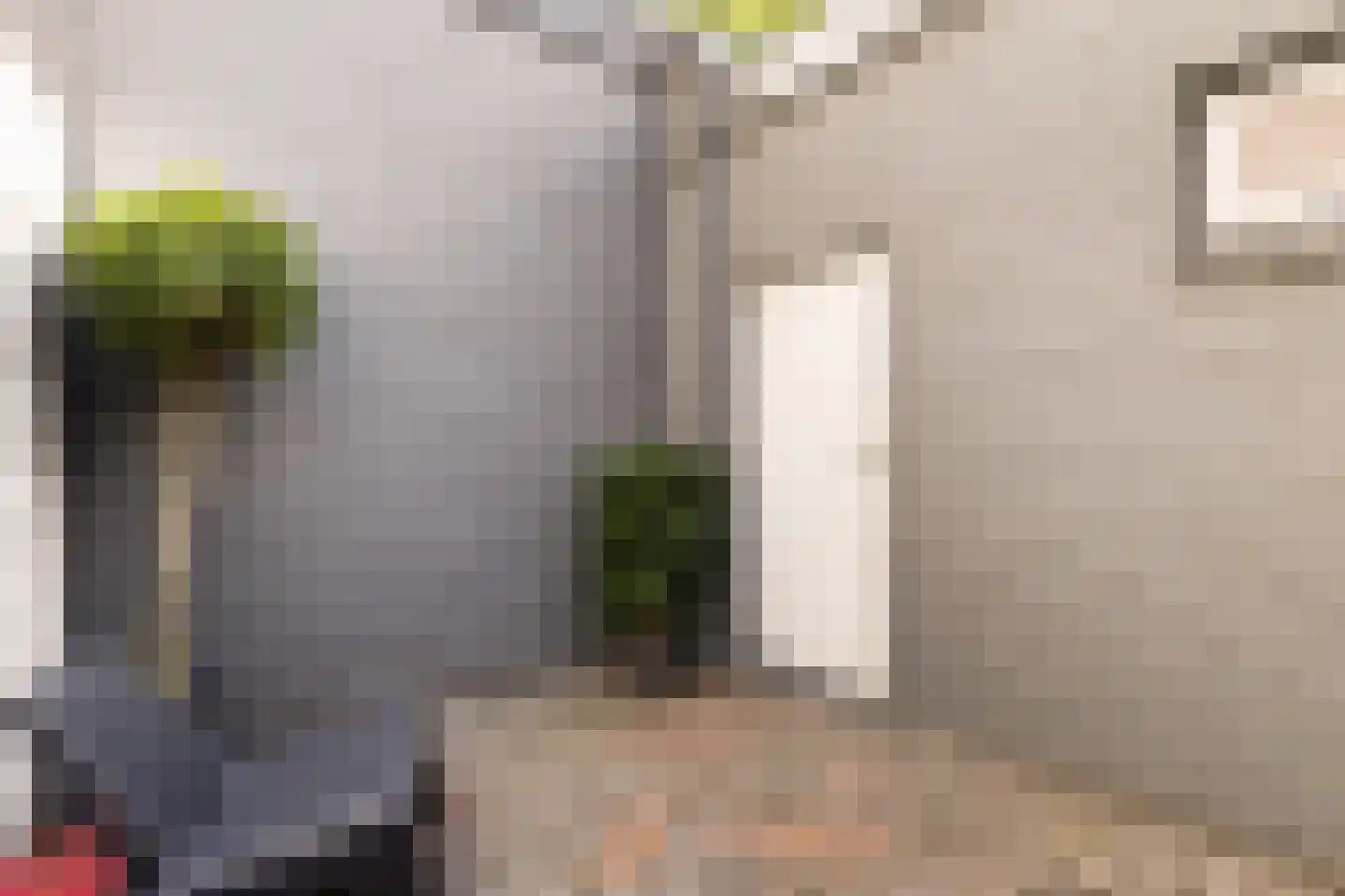 Van Karnebeekstraat 5 Zwolle thumbnail 43