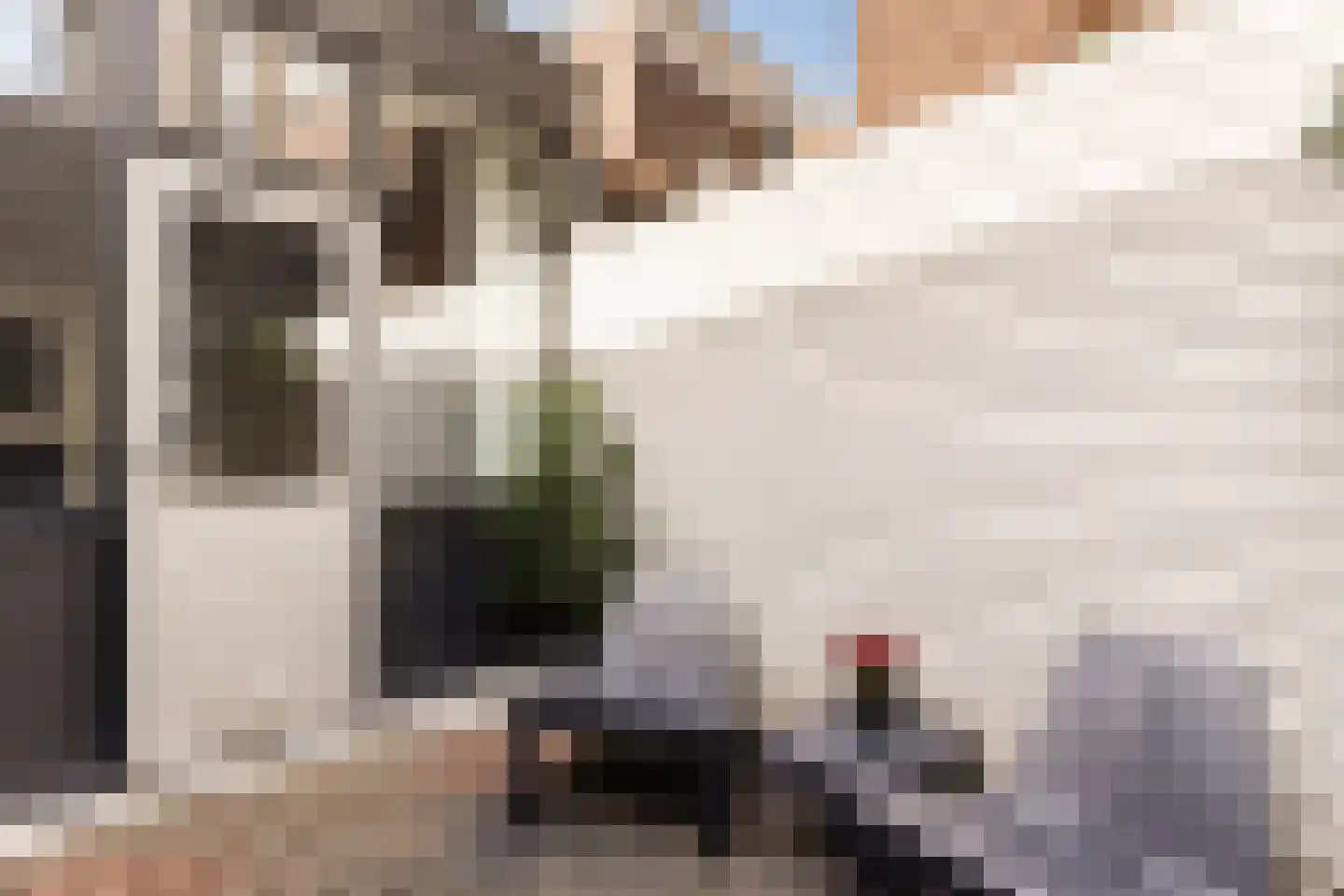 Van Karnebeekstraat 5 Zwolle thumbnail 45