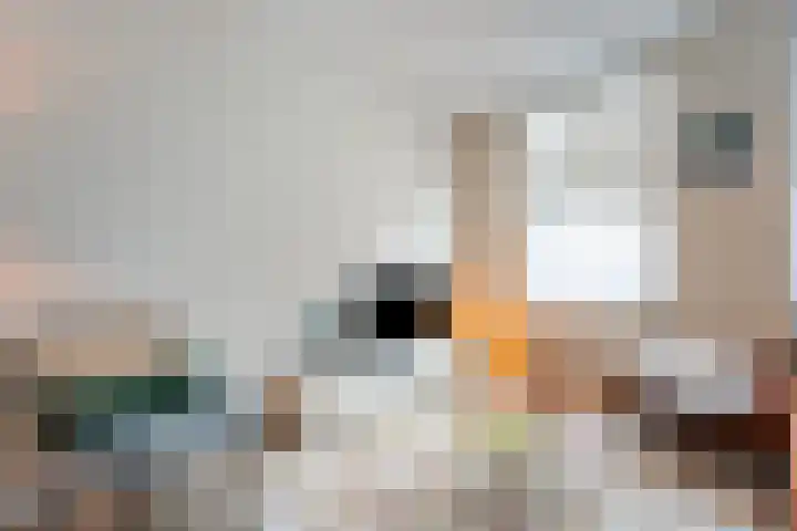 Van Karnebeekstraat 56 Zwolle thumbnail 7