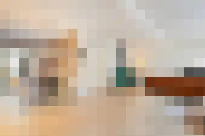 Van Karnebeekstraat 56 Zwolle thumbnail 8