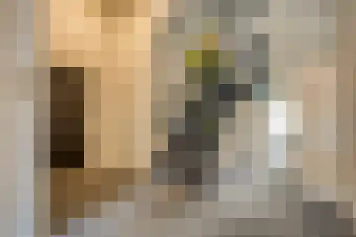 Van Karnebeekstraat 67 C Zwolle thumbnail 8