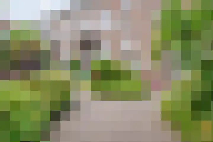 Van Karnebeekstraat 67 D Zwolle thumbnail 32