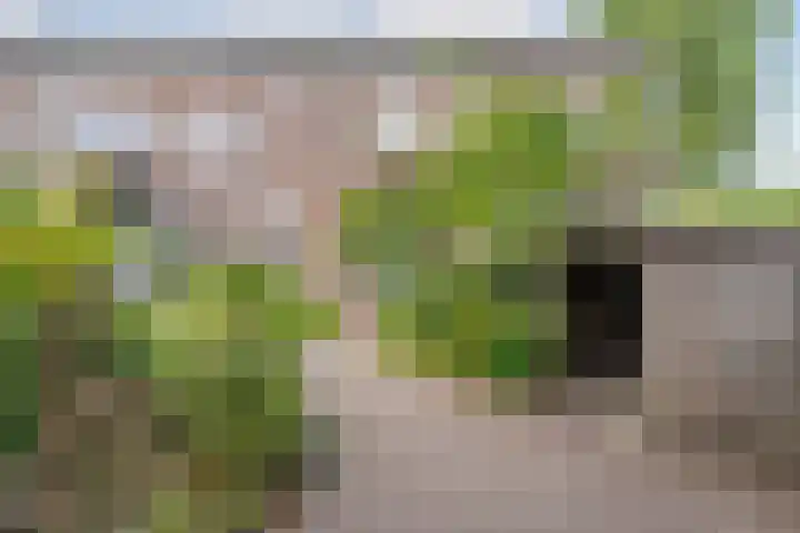 Van Karnebeekstraat 67 D Zwolle thumbnail 33