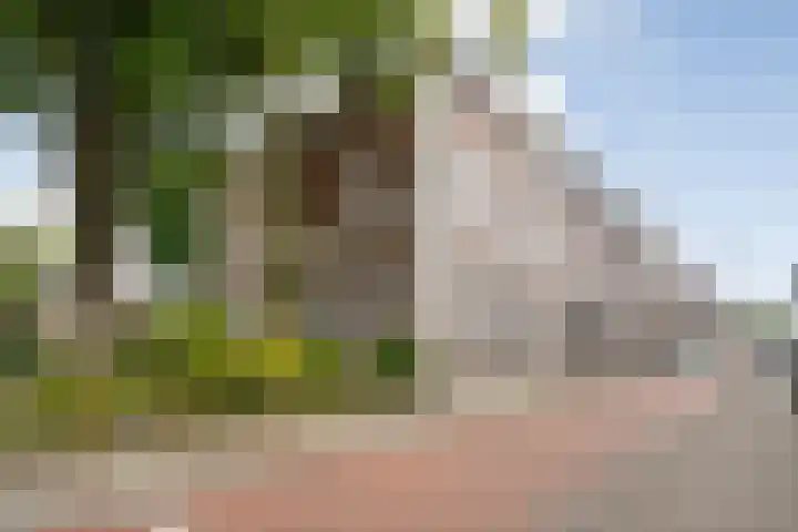 Van Karnebeekstraat 67 D Zwolle thumbnail 36