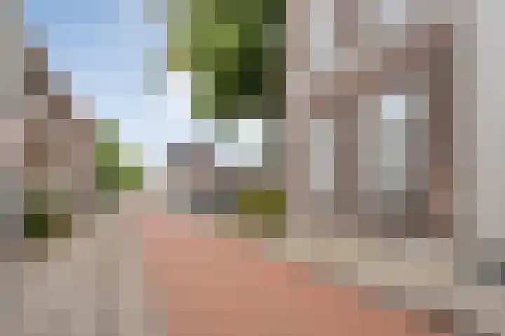 Van Karnebeekstraat 67 D Zwolle thumbnail 37
