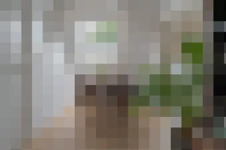 Van Karnebeekstraat 67 J Zwolle thumbnail 21