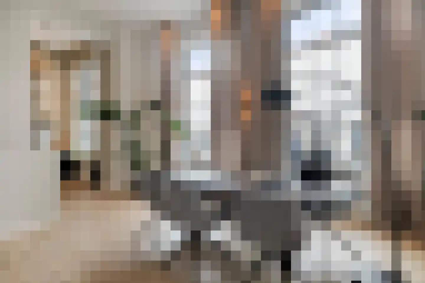 Van Karnebeekstraat 67 Zwolle thumbnail 17