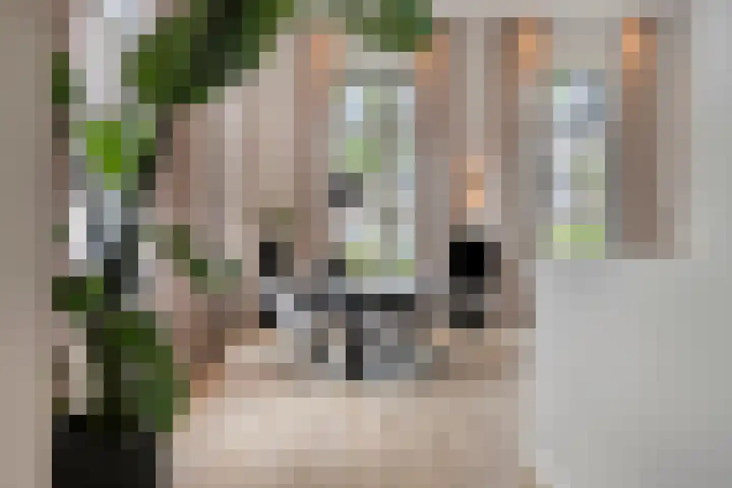 Van Karnebeekstraat 67 Zwolle thumbnail 18