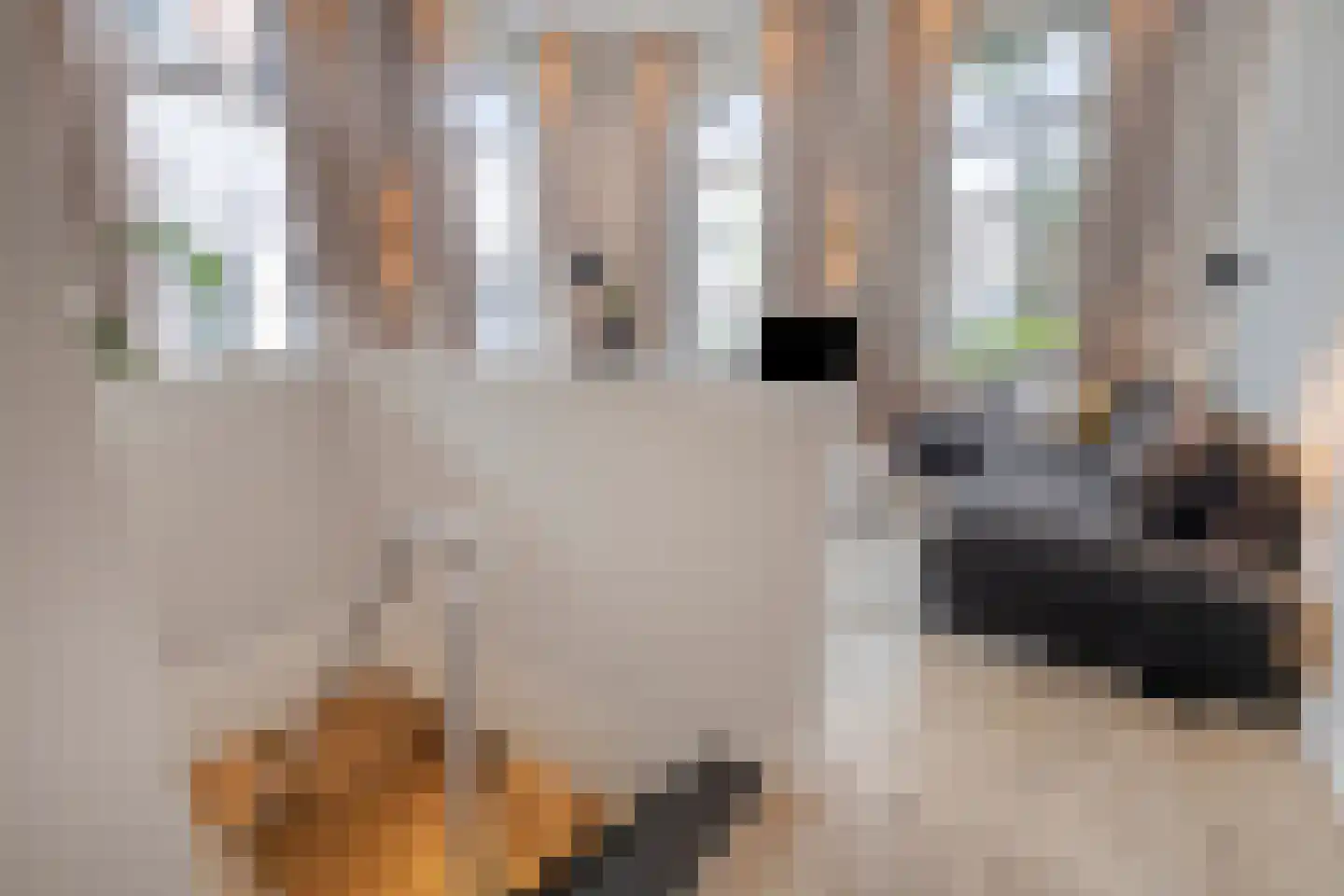 Van Karnebeekstraat 67 Zwolle thumbnail 34