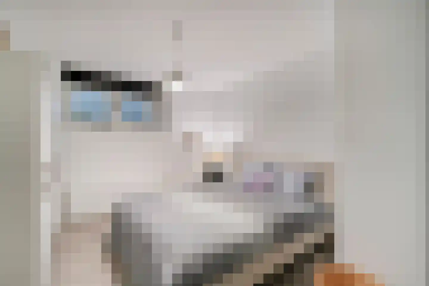 Van Karnebeekstraat 67 Zwolle thumbnail 38