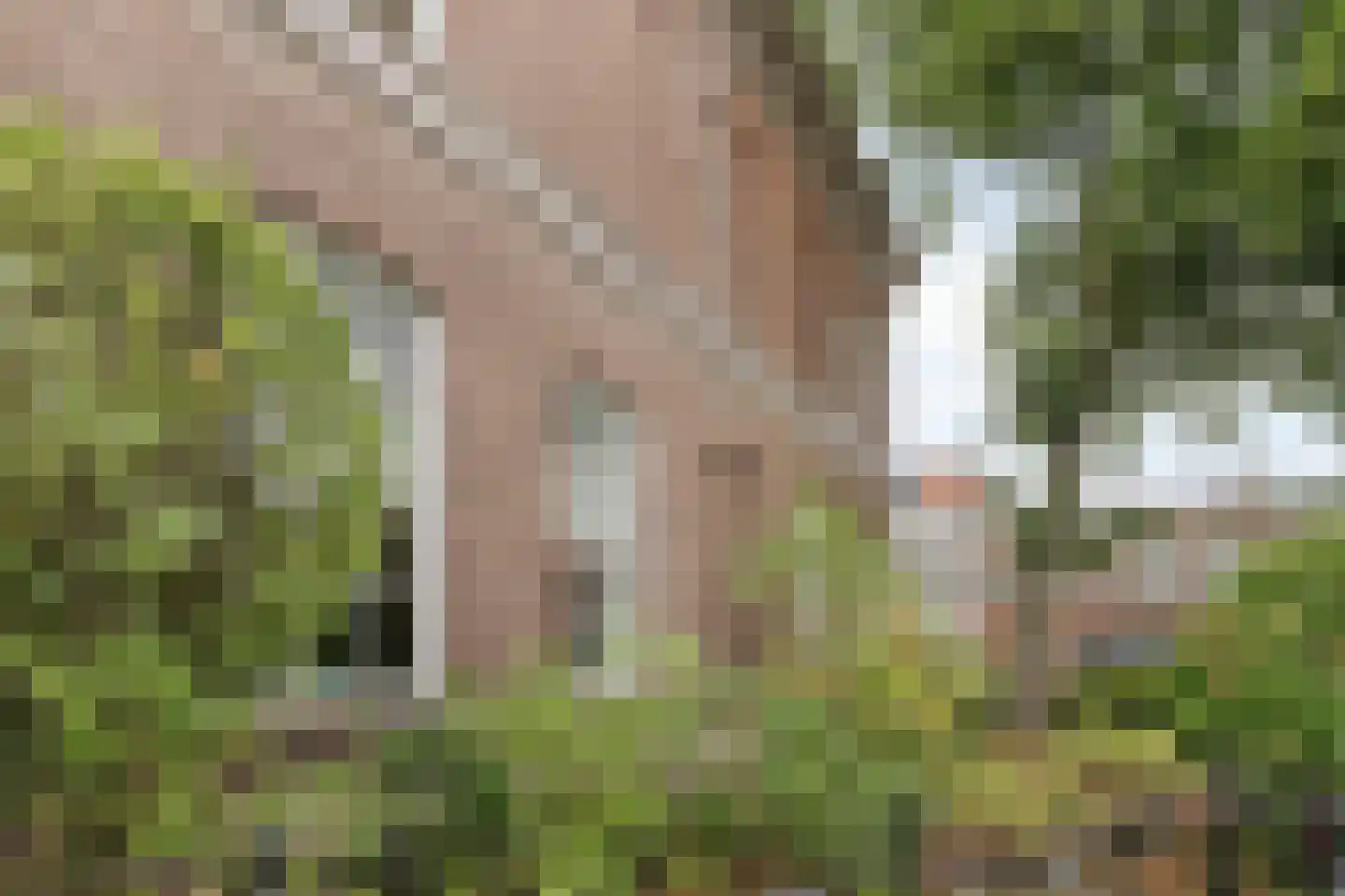 Van Karnebeekstraat 67 Zwolle thumbnail 4