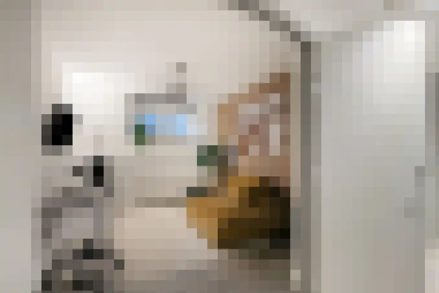 Van Karnebeekstraat 67 Zwolle thumbnail 44