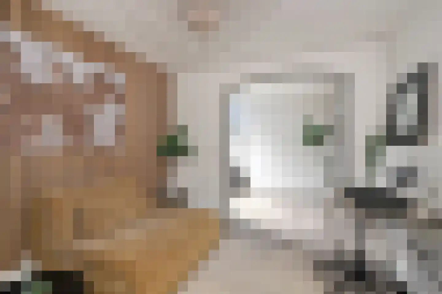 Van Karnebeekstraat 67 Zwolle thumbnail 46