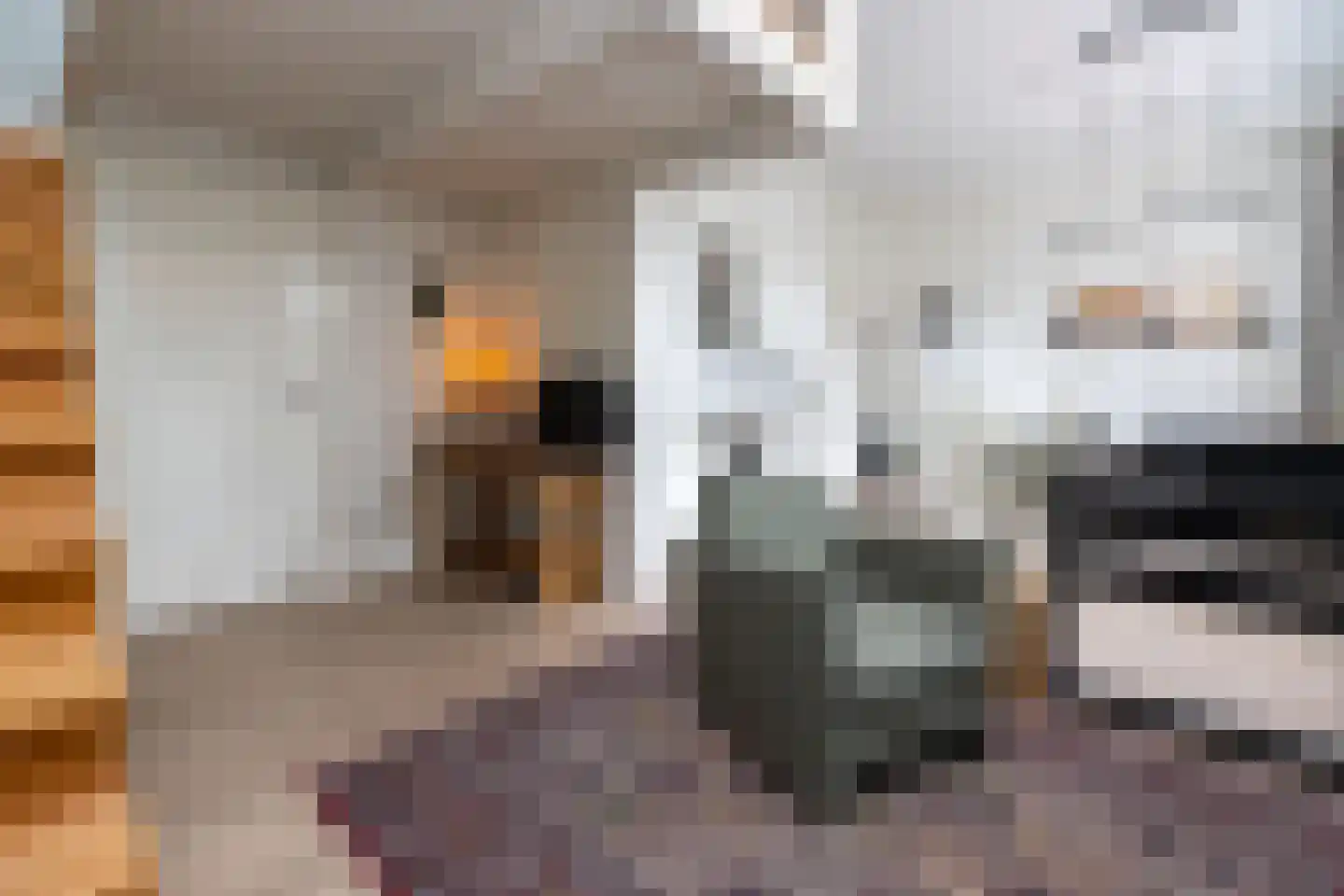 Van Karnebeekstraat 69 E Zwolle thumbnail 13