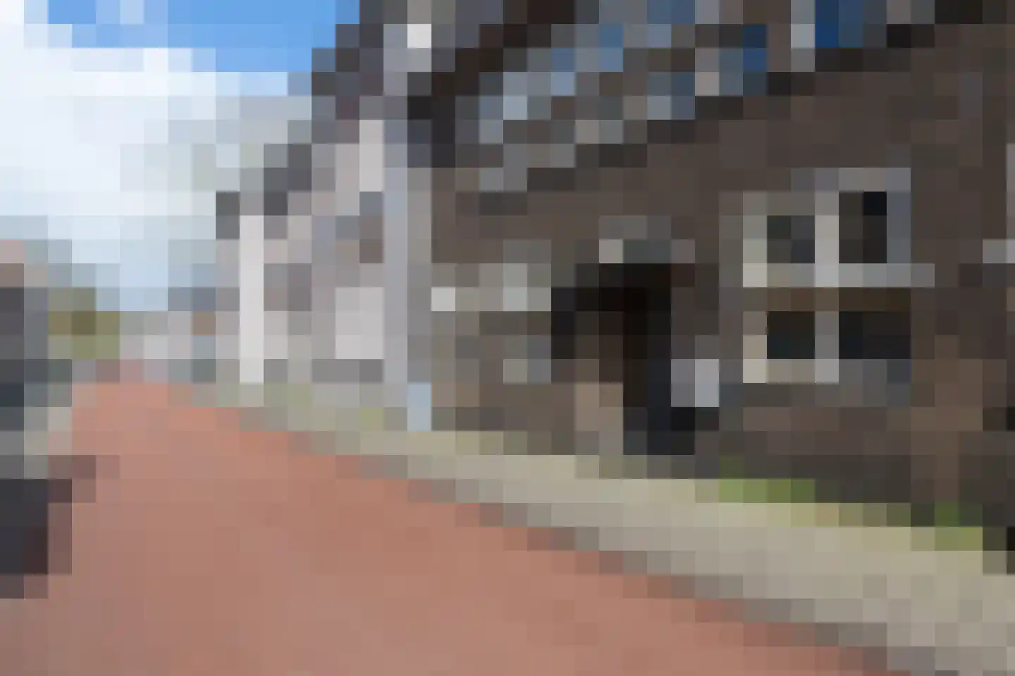 Van Karnebeekstraat 69 E Zwolle thumbnail 31