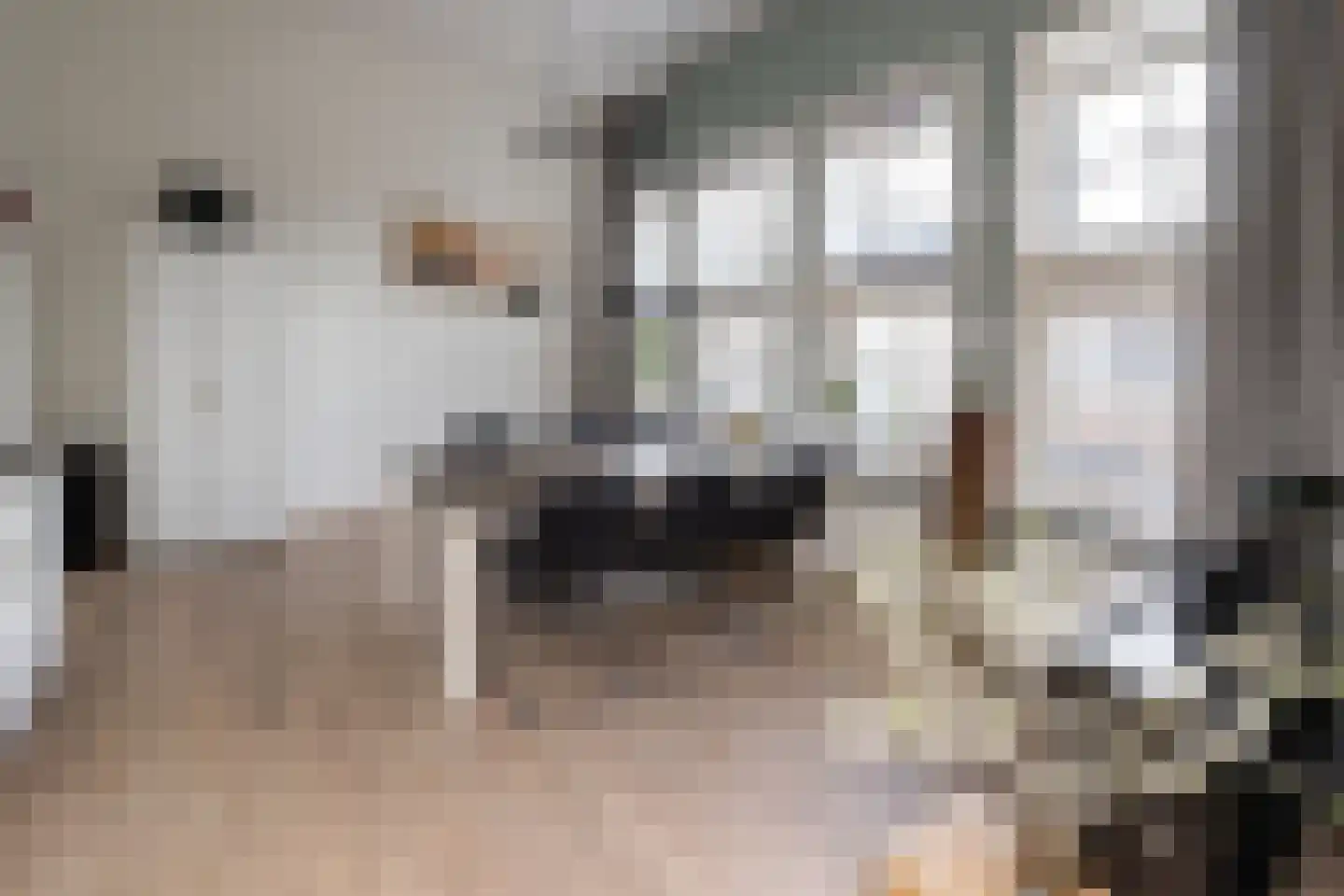 Van Karnebeekstraat 69 E Zwolle thumbnail 6