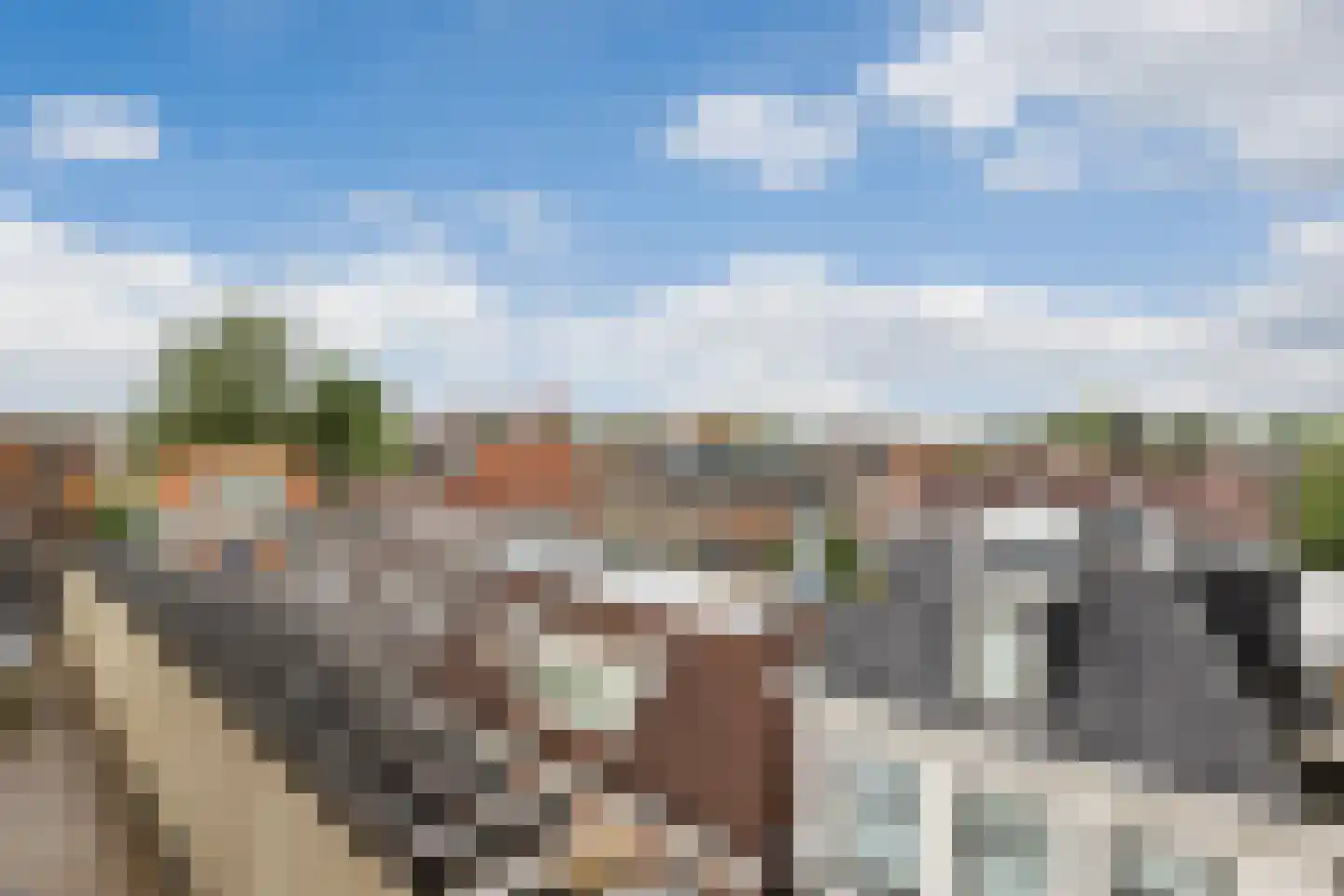 Van Karnebeekstraat 69 F Zwolle thumbnail 20