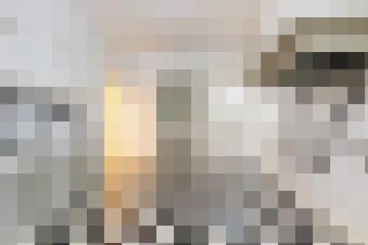 Van Karnebeekstraat 75 Zwolle thumbnail 16