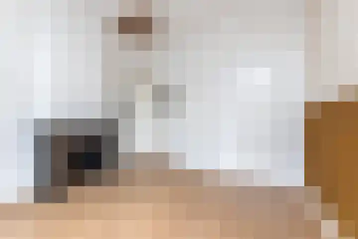 Van Karnebeekstraat 75 Zwolle thumbnail 9
