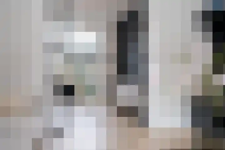 Van Karnebeekstraat 84 Zwolle thumbnail 16