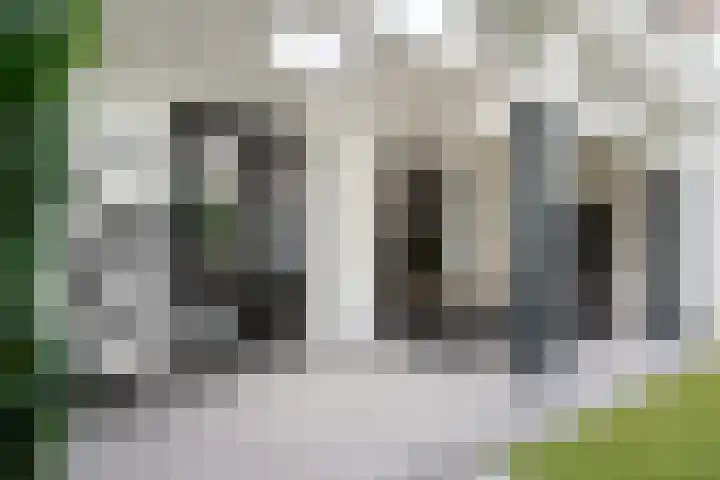 Van Karnebeekstraat 84 Zwolle thumbnail 30