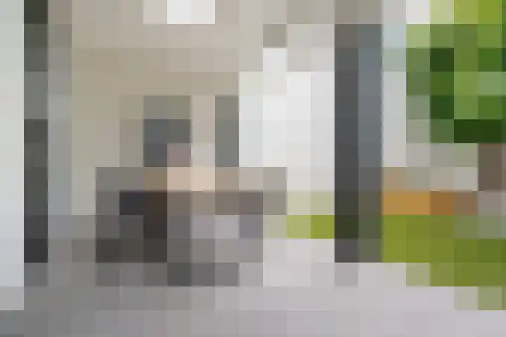 Van Karnebeekstraat 84 Zwolle thumbnail 31
