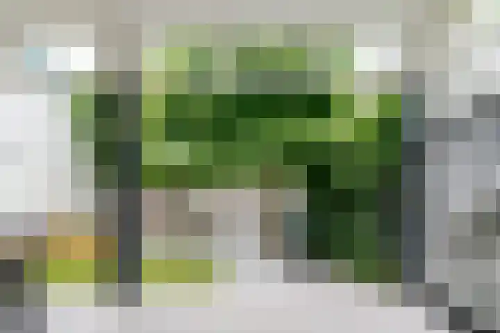 Van Karnebeekstraat 84 Zwolle thumbnail 32