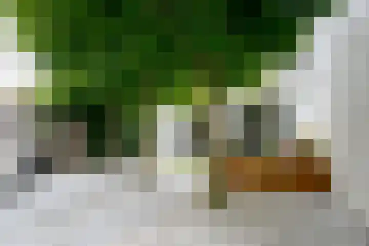 Van Karnebeekstraat 84 Zwolle thumbnail 34
