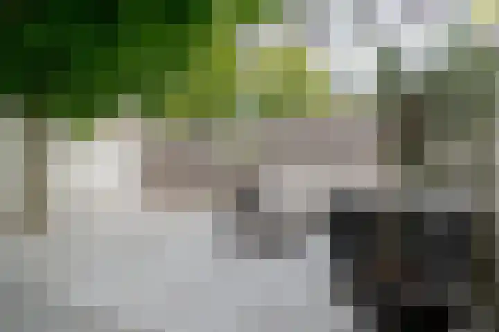 Van Karnebeekstraat 84 Zwolle thumbnail 36