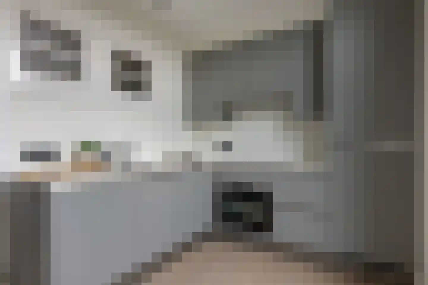 Van Karnebeekstraat 91 A Zwolle thumbnail 19